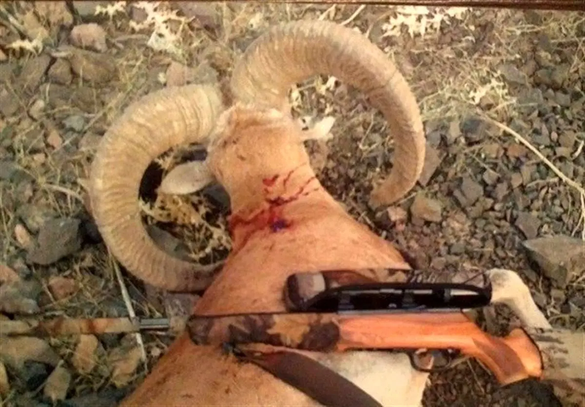  درگیری مسلحانه شکارچیان غیرمجاز با محیط‌بانان پارک ملی گلستان