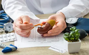 این میوه سنگ کلیه را پودر میکند

