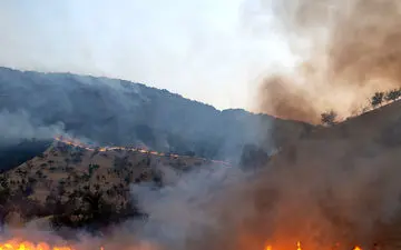  قلمروی آهوهای تربت‌جام به آتش کشیده شد+ جزییات