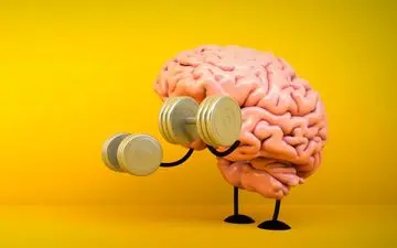 ورزش‌های مغزی مفید که ذهن را قوی و آلزایمر را فراری می‌دهد