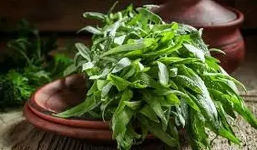 خواص ترخون برای سلامتی!