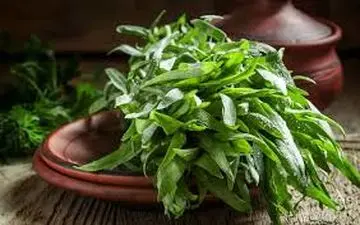 خواص ترخون برای سلامتی!