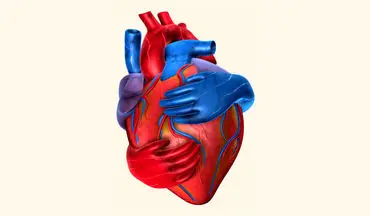 تأثیر رژیم غذایی سالم بر کاهش خطر سکته قلبی