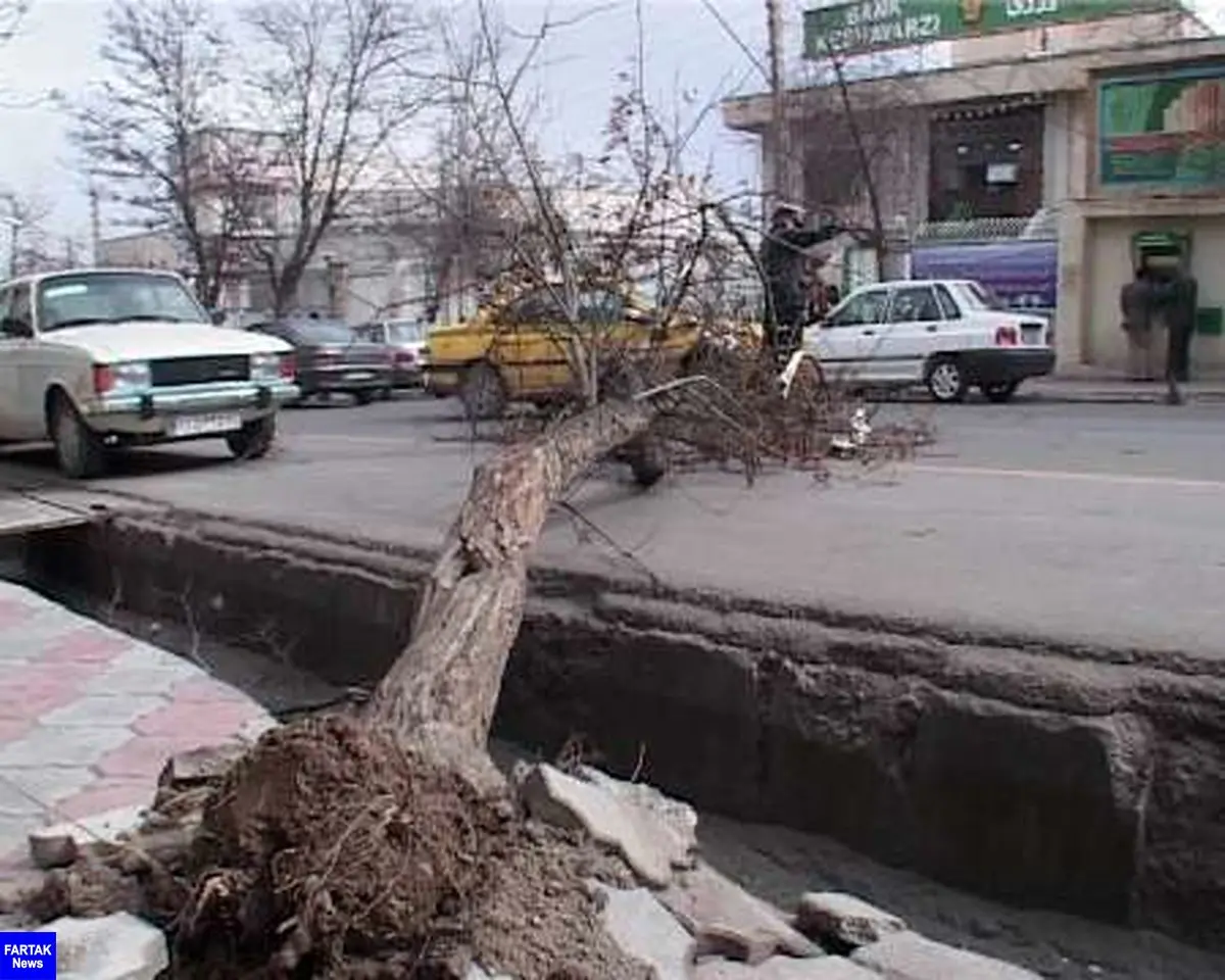  سقوط درختان براثر وزش بادشدید همراه با خسارت در کرج