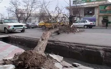  سقوط درختان براثر وزش بادشدید همراه با خسارت در کرج
