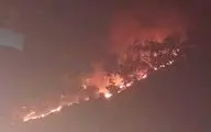 آتش سوزی گسترده در منطقه حفاظت شده خائیز