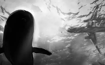  کمال تبریزی فردا "ما همه با هم هستیم» را کلید می‌زند