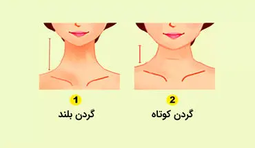 رابطه طول گردن و ویژگی های شخصیتی شما! | طول گردن چه ویژگی هایی را آشکار میکند ؟