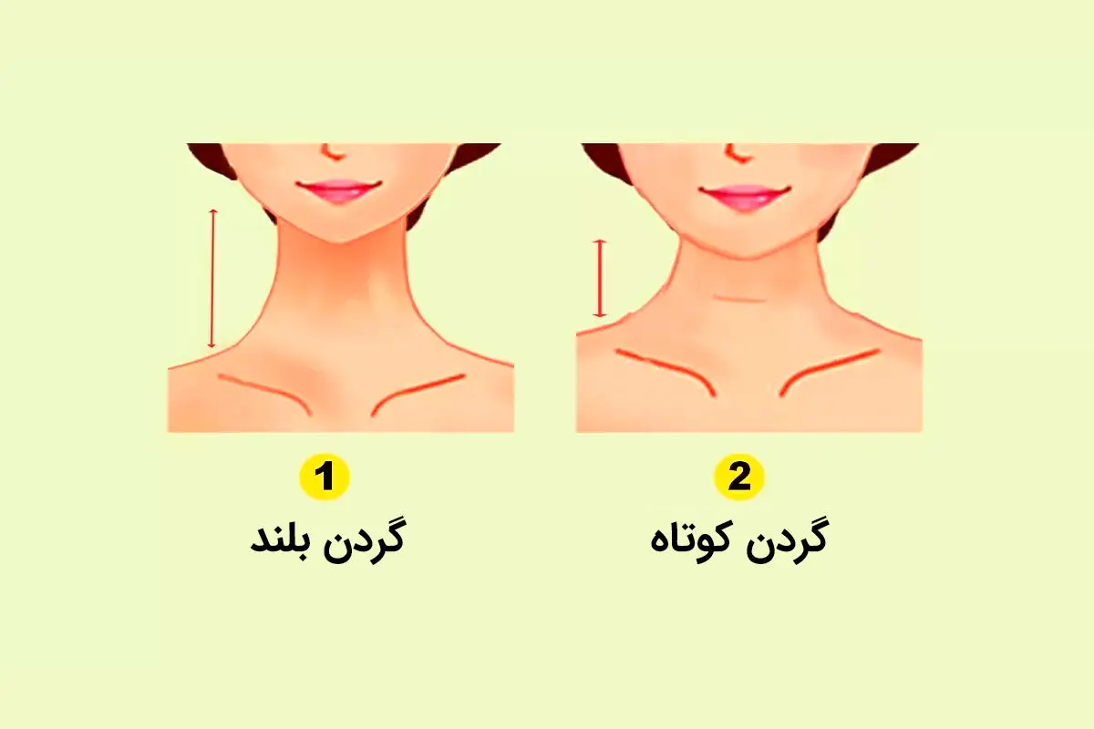 رابطه طول گردن و ویژگی های شخصیتی شما! | طول گردن چه ویژگی هایی را آشکار میکند ؟