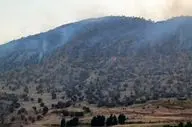 آتش‌سوزی گسترده جنگل‌های کوه «لهور» معمولان را فرا گرفت