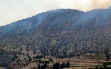 آتش‌سوزی گسترده جنگل‌های کوه «لهور» معمولان را فرا گرفت