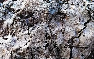 کشف کتیبه ای مربوط به دوره ساسانی در مرودشت