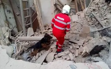 ریزش ساختمان قدیمی در خیابان دماوند/ حضور سگ‌های زنده‌یاب در محل