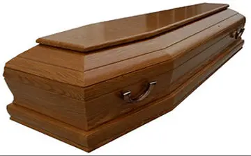 آمبولانس‌های تابوت نما در هند + فیلم 