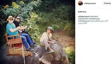 فیل سواری آتیلا پسیانی در تایلند! +عکس