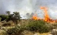 مصدومیت ۵ نفر در آتش‌سوزی وسیع آبیدر سنندج