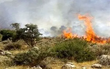 مصدومیت ۵ نفر در آتش‌سوزی وسیع آبیدر سنندج