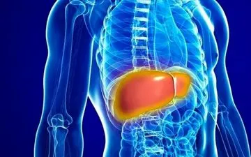 با این عصاره‌ها کبد چرب تان را خوب کنید