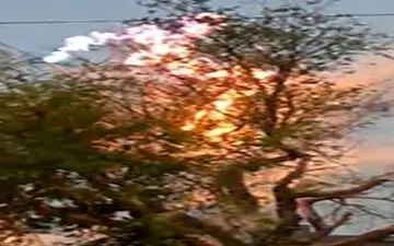 برق گرفتگی عجیب درخت