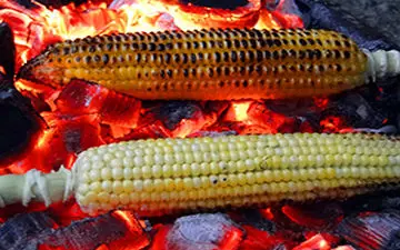 بلال رایگان در ازای جمع‌آوری زباله + فیلم