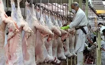 
"کشتارگاه بیستون" به مستاجر جدید واگذار شد/ ظرفیت ذبح روزانه 1000 دام سبک