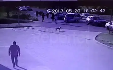 بی دقتی راننده خودرو، مرگ موتورسوار را رقم زد + فیلم