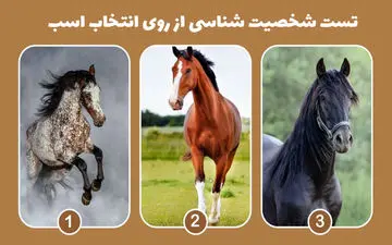 یکی از اسب ها رو انتخاب کن تا بهت بگم چه‌جور رفیقی هستی!
