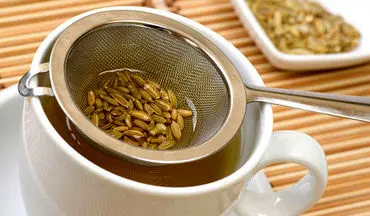 خواص رازیانه برای خانم ها که به طور علمی ثابت شده/ بیش از حد مصرف نکنید!