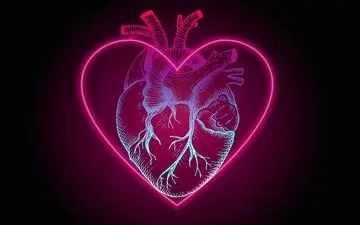 این علائم نشان می‌دهد قلب شما نیاز به مراقبت بیشتری دارد