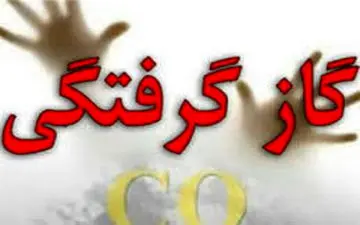 درباره مسمومیت با منوکسید کربن یا گازگرفتگی بیشتر بدانید