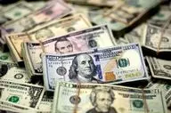 قیمت دلار امروز دوشنبه 29 اردیبهشت 1404