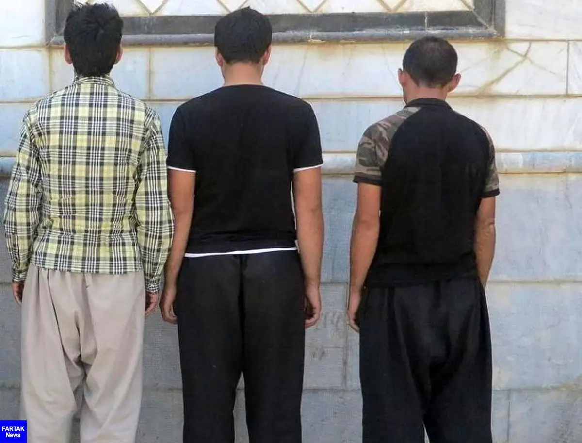 42 سارق در تور اطلاعاتی پلیس کرمانشاه گرفتار شدند 