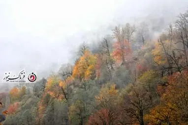 گزارش تصویری | گیلان؛ مقصدی رویایی برای عاشقان پاییز
