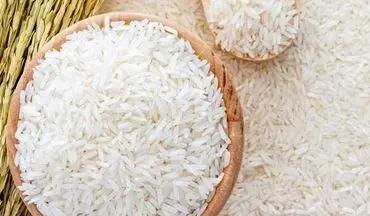 معاون وزیر جهاد کشاورزی: در حوزه ذخایر برنج خارجی هیچ‌گونه مشکلی نداریم/ قیمت برنج کاهش می یابد 
