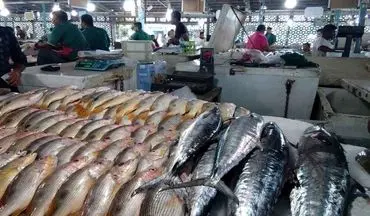 اعلام قیمت انواع ماهی در میادین تره بار 