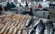 اعلام قیمت انواع ماهی در میادین تره بار 