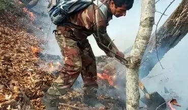 آتش در جنگل‌های کلاردشت شعله‌ور شد