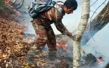 آتش در جنگل‌های کلاردشت شعله‌ور شد