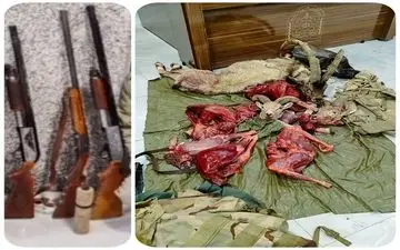 
۵۱ قبضه سلاح شکاری و لاشه ۲۸ پرنده وحشی در مازندران کشف شد
