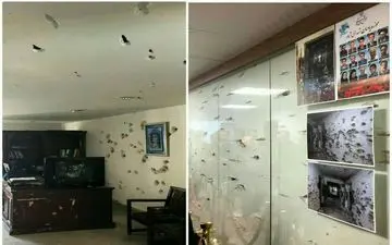 واکنش مردم ایران به حوادث تروریستی چیست؟