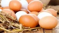 قیمت هر شانه تخم مرغ چند شد؟
