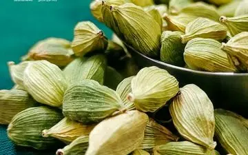 جویدن دانه هل اشکالی ندارد؟