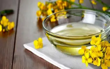 تغذیه پوست و مو با این گیاه