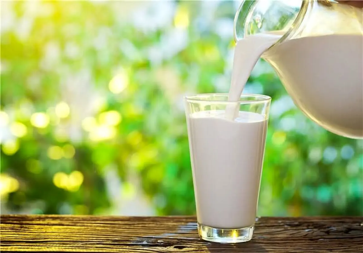 آنچه از شیر نمی دانستید/ بهترین «شیر» کدام است؟