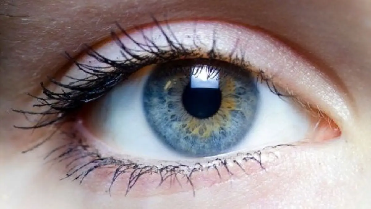 مشکلات شبکیه چشم چیست و چه علائمی دارد؟