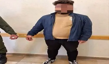دستگیری سریع عاملان قمه‌کشی پارک زنجان؛ اراذل سابقه‌دار در چنگال قانون