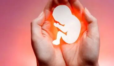 سقط جنین و چیزهایی که باید درباره آن بدانید