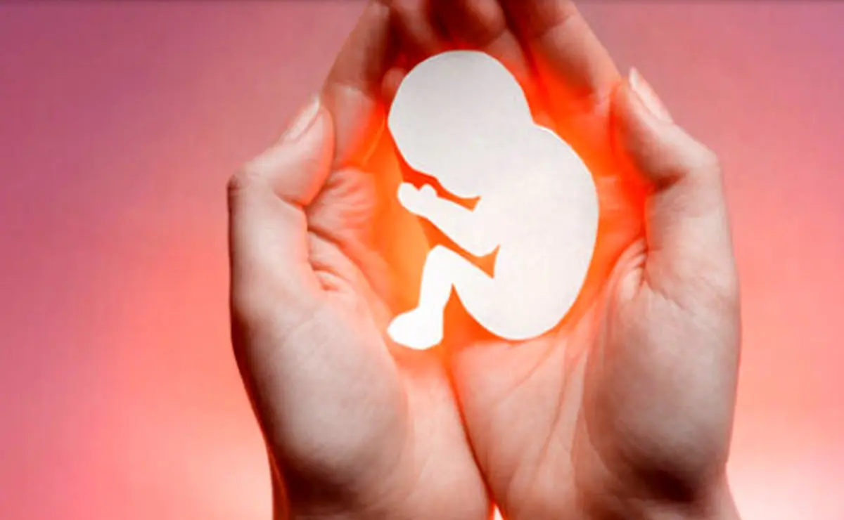 سقط جنین و چیزهایی که باید درباره آن بدانید