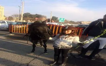 ابراز همدردی سوارکاران باشگاه رنجی کرج با شهدای آتش نشان ساختمان پلاسکو 