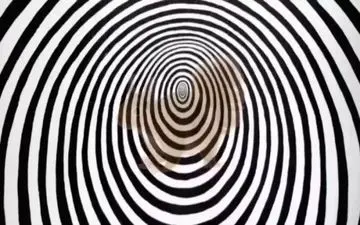 قدرت بینایی خودت را محک بزن/ چه حیوانی در تصویر پنهان است؟